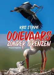 Omslag van Ooievaars zonder grenzen