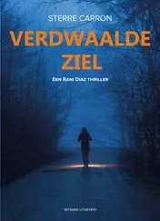 Omslag van Verdwaalde Ziel