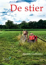 Omslag van De Stier