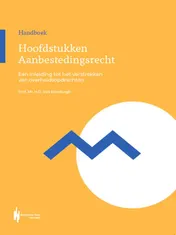 Omslag van Hoofdstukken aanbestedingsrecht