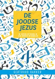 Omslag van De Joodse jezus