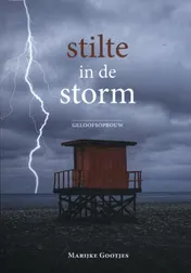 Omslag van Stilte in de storm