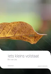 Omslag van Iets kleins volstaat