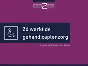 Omslag van Zó werkt de gehandicaptenzorg