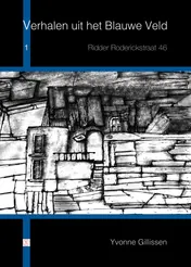 Omslag van Ridder Roderickstraat 46