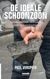 Omslag van De Ideale Schoonzoon