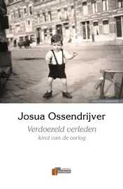 Omslag van Verdoezeld verleden