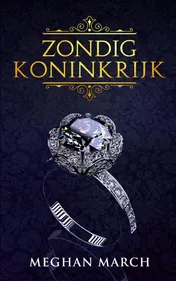 Omslag van Zondig Koninkrijk