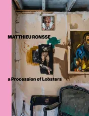 Omslag van Matthieu Ronsse