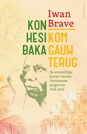 Omslag van Kom gauw terug. Kon hesi baka