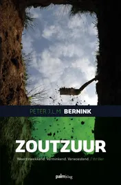 Omslag van Zoutzuur