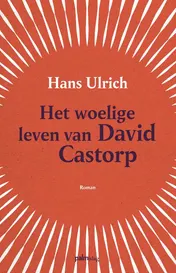 Omslag van Het woelige leven van David Castorp