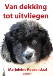 Omslag van Van dekking tot uitvliegen