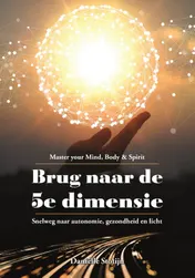 Omslag van Brug naar de 5e dimensie