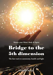 Omslag van Bridge to the 5th Dimension