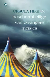 Omslag van De beschermheilige van zwangere meisjes