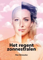 Omslag van Het regent zonnestralen