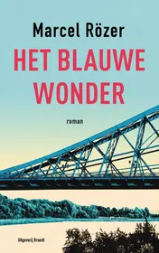 Omslag van Het blauwe wonder