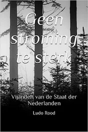 Omslag van Geen Stroming te Sterk;