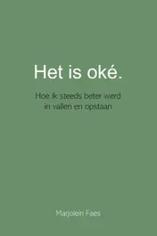 Omslag van Het is oké