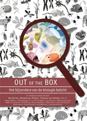 Omslag van Out of the Box