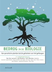 Omslag van Bedrog in de biologie