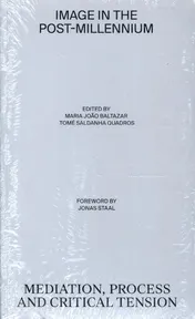 Omslag van Image in the post-Millennium