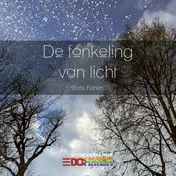 Omslag van De fonkeling van licht
