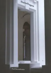 Omslag van Duizelingen