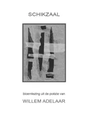 Omslag van Schikzaal