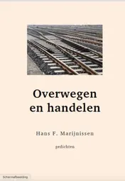 Omslag van Overwegen en handelen