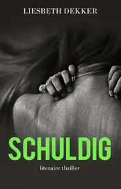 Omslag van Schuldig