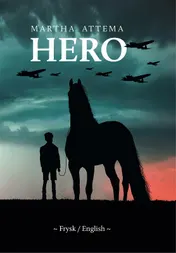 Omslag van Hero