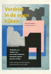 Omslag van Verdriet in de ogen kijken
