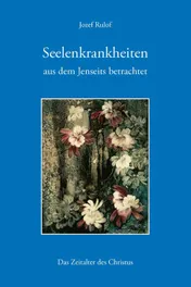 Omslag van Seelenkrankheiten aus dem Jenseits betrachtet