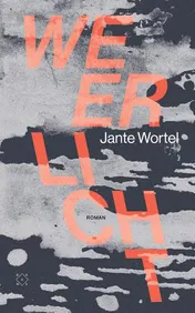Omslag van Weerlicht
