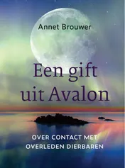 Omslag van Een gift uit Avalon