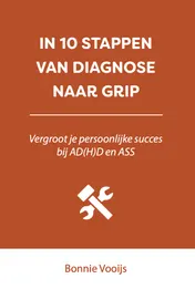 Omslag van In 10 stappen van diagnose naar grip