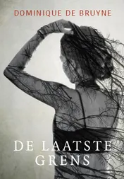 Omslag van De laatste grens