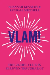Omslag van Vlam!
