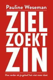 Omslag van Ziel zoekt zin