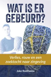 Omslag van Wat is er gebeurd?