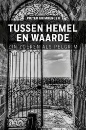 Omslag van Tussen hemel en waarde