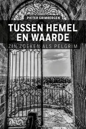 Omslag van Tussen hemel en waarde