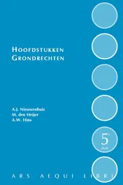 Omslag van Hoofdstukken grondrechten