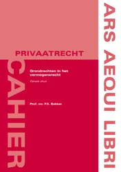 Omslag van Grondrechten in het vermogensrecht
