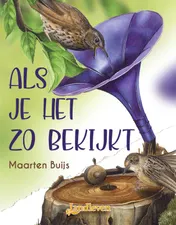 Omslag van Als je het zo bekijkt