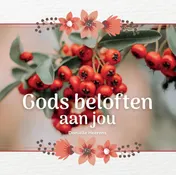 Omslag van Gods beloften aan jou