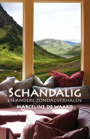 Omslag van Schandalig