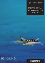 Omslag van Het verdriet van de fluit